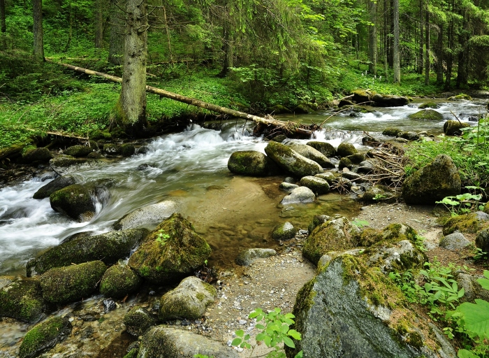 Říčka Demenovka nad Jeskyní Svobody.